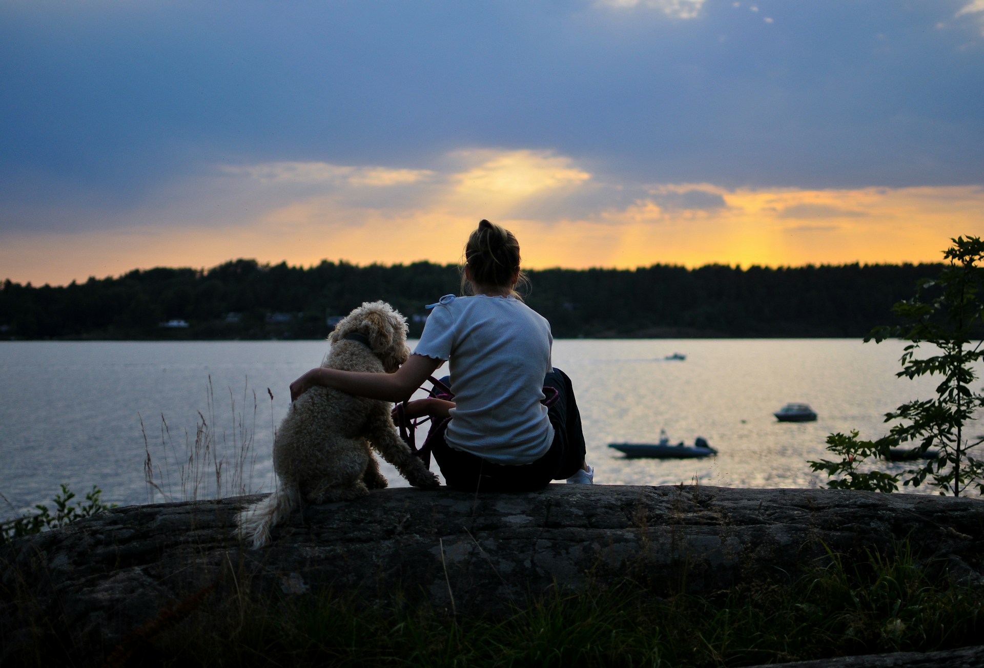 Man with Teddy Bear, IKIGAI